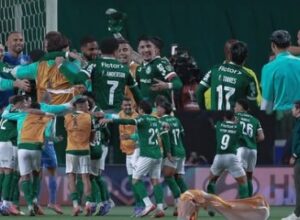 Powerful SE Palmeiras FC since 1914