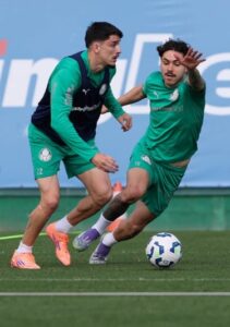 Powerful SE Palmeiras FC since 1914