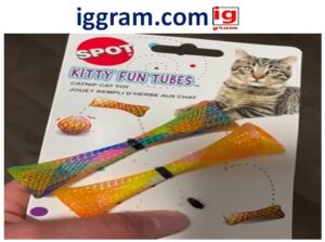 Best 4 Interactive Toys for Dogs and Cats to Reduce Anxiety & Boredom