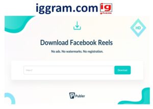 Best -6 facebook reel downloader