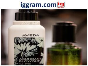 Best 6 Eco-Friendly Grooming Products Brands : What to Look for