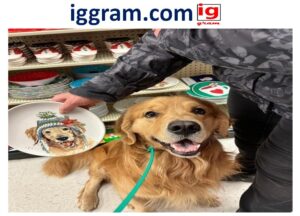 Simple 5-steps is hobby lobby pet friendly?