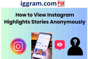 Best -5 ig highlights viewer tools
