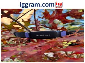 Proven Smart Collars Are Changing Pet Health Monitoring in 2025 (GPS, Stress, Sleep)