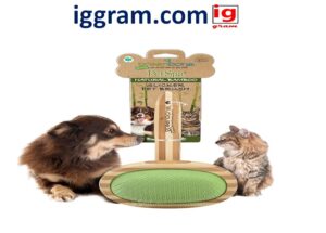 Best 7 Eco-Friendly Pet Grooming Products : What to Look for