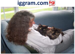 5 Authentic reason Why do cats purr?