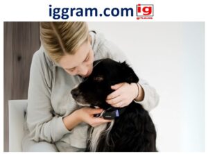 Proven Smart Collars Are Changing Pet Health Monitoring in 2025 (GPS, Stress, Sleep)