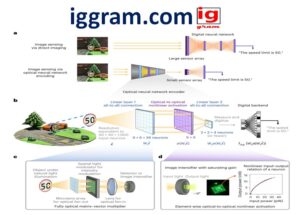 Exposed 3-contribution of peter McMahon