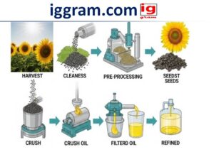 Best 4- seedling oil​ benefits