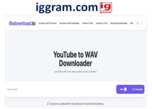Top 5 Best youtube to wav Converter
