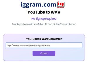 Top 5 Best youtube to wav Converter