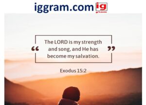 Bible verses for hard times