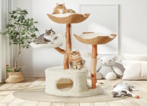 best cat tower