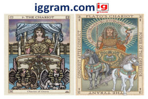 the chariot tarot