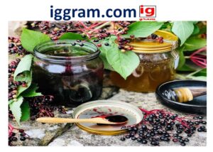 how to make elderberry syrup