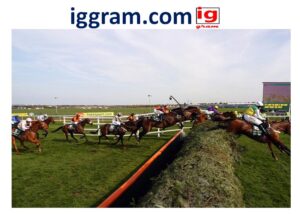 Trips to grand national