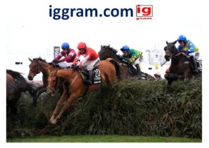 Trips to grand national