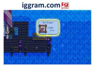 Red Snapper location