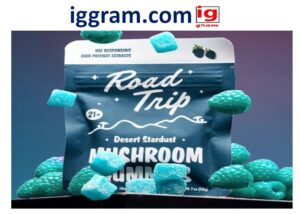 functional mushroom gummies