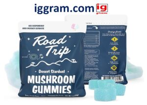 mushroom gummy benefits