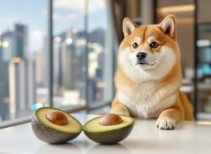 Is avocado safe for dogs