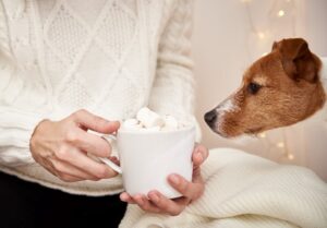 sugar-free marshmallows,