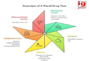 5 panel drug test