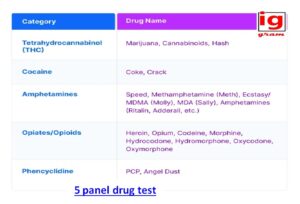 5 panel drug test