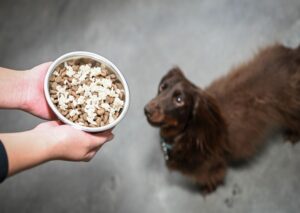 benefits of rice for dogs