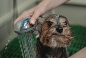 hypoallergenic dog shampoo