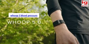 whoop 5 blood pressure