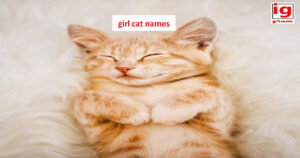 girl cat names