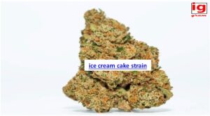 ice cream cake strain
