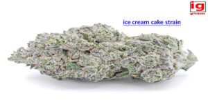 ice cream cake strain